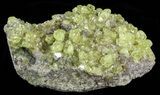 Lemon Yellow Sulfur Crystals - Bolivia #51583-2